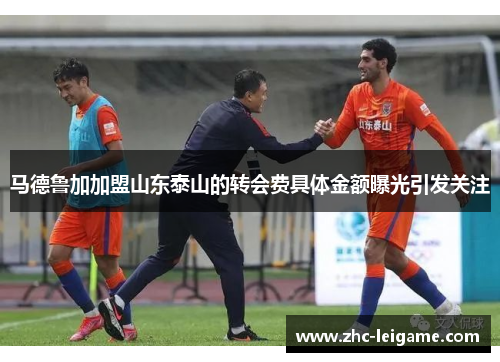 马德鲁加加盟山东泰山的转会费具体金额曝光引发关注 马德鲁加加盟山东泰山的转会费具体金额曝光引发关注
