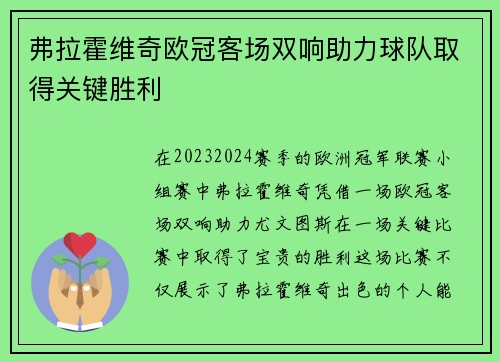 弗拉霍维奇欧冠客场双响助力球队取得关键胜利